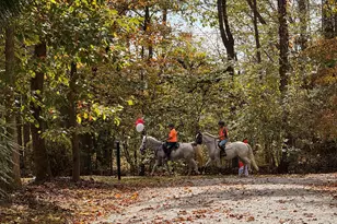 4416 Arrowhead Trail, Hillsborough, NC 27278 - Photo 39