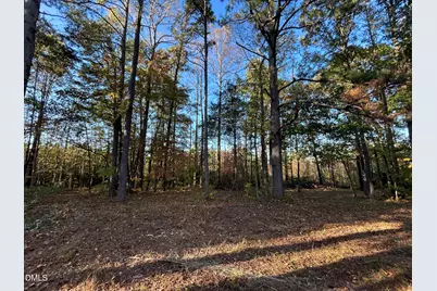 1539 Schloss Road, Louisburg, NC 27549 - Photo 9