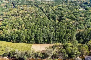 2423 Old Oxford Rd, Durham, NC 27704 - Photo 75