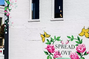 508 Soar Ln, Wendell, NC 27591 - Photo 47