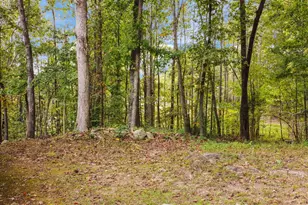 230 Big Buck Rd, Henderson, NC 27537 - Photo 35