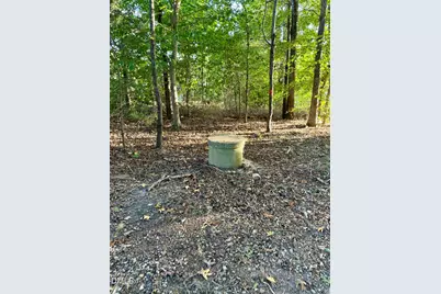 206 Jones Chapel Road, Norlina, NC 27563 - Photo 5