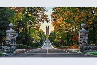 1022 Zelkova Lane, Durham, NC 27517 - Photo 29