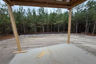 1029 Ivory Ln, West End, NC 27376 - Photo 5