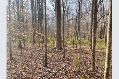 600 Hawick Road, Raleigh, NC 27615 - Photo 11