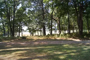 8720 Mt Pleasant Church Rd, Willow Springs, NC 27592 - Photo 71