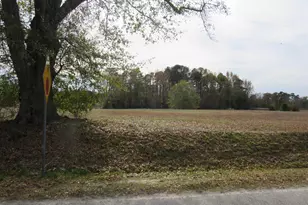 257 Johnson Estate Rd, Clayton, NC 27520 - Photo 1