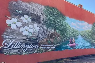 706 W Front St, Lillington, NC 27546 - Photo 41