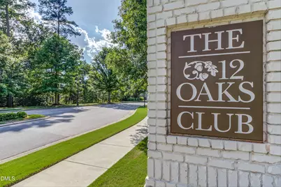 205 Mint Julep Way, Holly Springs, NC 27540 - Photo 61