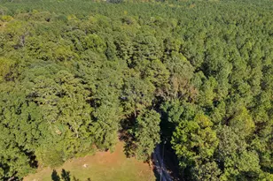 3608 Manly Farm Rd, Wake Forest, NC 27587 - Photo 47