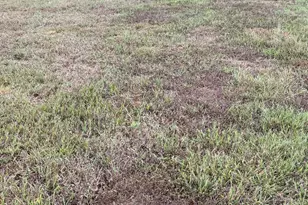 3604 Bailey Mdws Dr, Wake Forest, NC 27587 - Photo 1