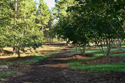 39 Monteith Drive, Chapel Hill, NC 27516 - Photo 33