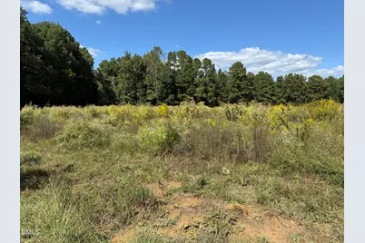 3718 Hinton Mill Court, Franklinton, NC 27525 - Photo 5