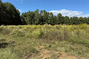 3718 Hinton Mill Ct, Franklinton, NC 27525 - Photo 5