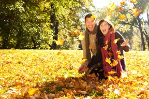 2716 Kempthorne Rd, Cary, NC 27519 - Photo 29