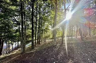 444 Smokehouse Ln Lot 7, Semora, NC 27343 - Photo 59