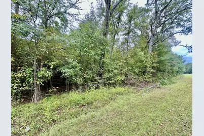 18.2 Acres Range Road, Rougemont, NC 27572 - Photo 5