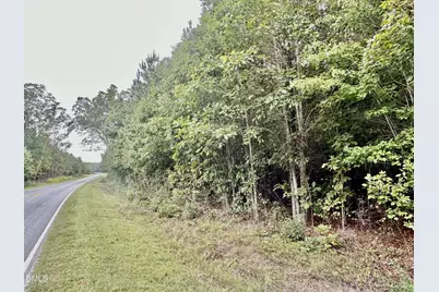 18.2 Acres Range Road, Rougemont, NC 27572 - Photo 15
