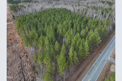 18.2 Acres Range Road, Rougemont, NC 27572 - Photo 17