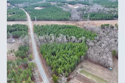 18.2 Acres Range Road, Rougemont, NC 27572 - Photo 21