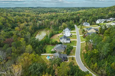 79 Lystra Ridge Road, Chapel Hill, NC 27517 - Photo 63