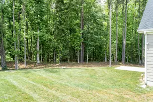 115 Old Gdn Ln, Youngsville, NC 27596 - Photo 65