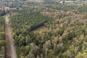 1435 Pineywood Church Rd, Cameron, NC 28326 - Photo 45