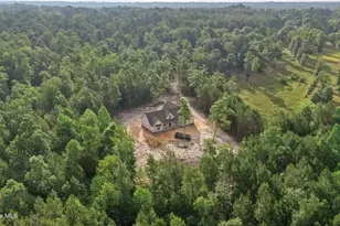 1435 Pineywood Church Rd, Cameron, NC 28326 - Photo 47