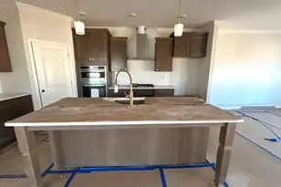 8 Bee Balm Ct, Youngsville, NC 27596 - Photo 11