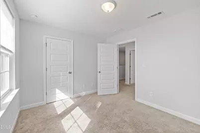 253 Pear Blossom Parkway, Clayton, NC 27520 - Photo 19