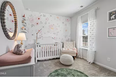 35 Valley Of Liberty Lane, Smithfield, NC 27577 - Photo 43