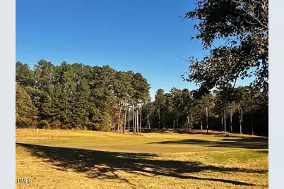 77 Ruffed Grouse, Chapel Hill, NC 27517 - Photo 73