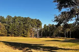 77 Ruffed Grouse, Chapel Hill, NC 27517 - Photo 73