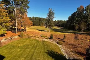 77 Ruffed Grouse, Chapel Hill, NC 27517 - Photo 75