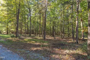 2120 New Sharon Church Rd, Hillsborough, NC 27278 - Photo 3