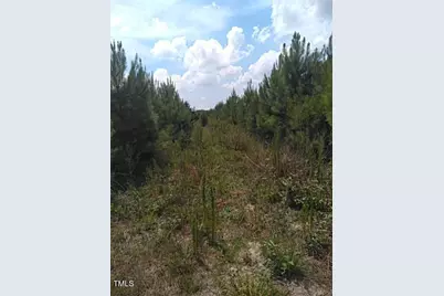 1 Lake Artesia Road, Turkey, NC 28393 - Photo 7