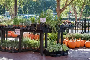 2100 Black Walnut Farm Rd, Hillsborough, NC 27278 - Photo 67