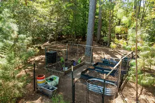 10101 Lobley Hill Ln, Raleigh, NC 27613 - Photo 89