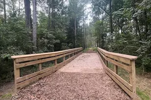 298 Williams Grv Ln, Apex, NC 27523 - Photo 19