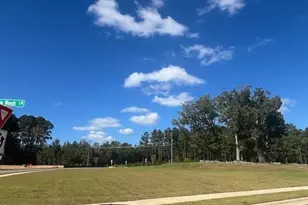 298 Williams Grv Ln, Apex, NC 27523 - Photo 21