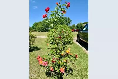 100 Blackberry Creek Drive, Willow Springs, NC 27592 - Photo 39