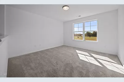 2421 Pleasant Hill Liberty Road, Liberty, NC 27298 - Photo 17