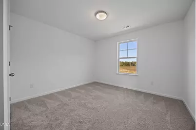 2421 Pleasant Hill Liberty Road, Liberty, NC 27298 - Photo 29