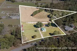 7477 N Nc 58, Castalia, NC 27816 - Photo 43