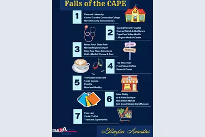 31 Capeside Court, Lillington, NC 27546 - Photo 45