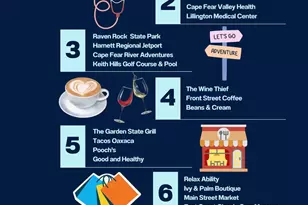 31 Capeside Ct, Lillington, NC 27546 - Photo 45