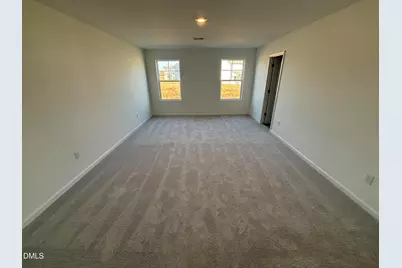 162 Blossom Field Way, Angier, NC 27501 - Photo 19