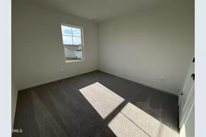 142 Blossom Field Way, Angier, NC 27501 - Photo 39