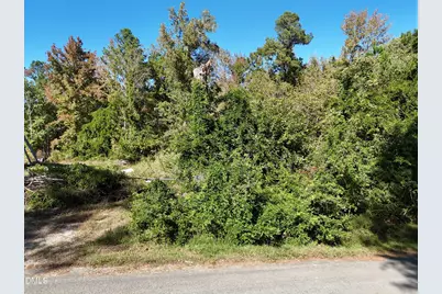 320 Todd Street, Durham, NC 27704 - Photo 1