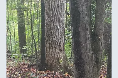 1417 Poinsett Drive, Chapel Hill, NC 27517 - Photo 5